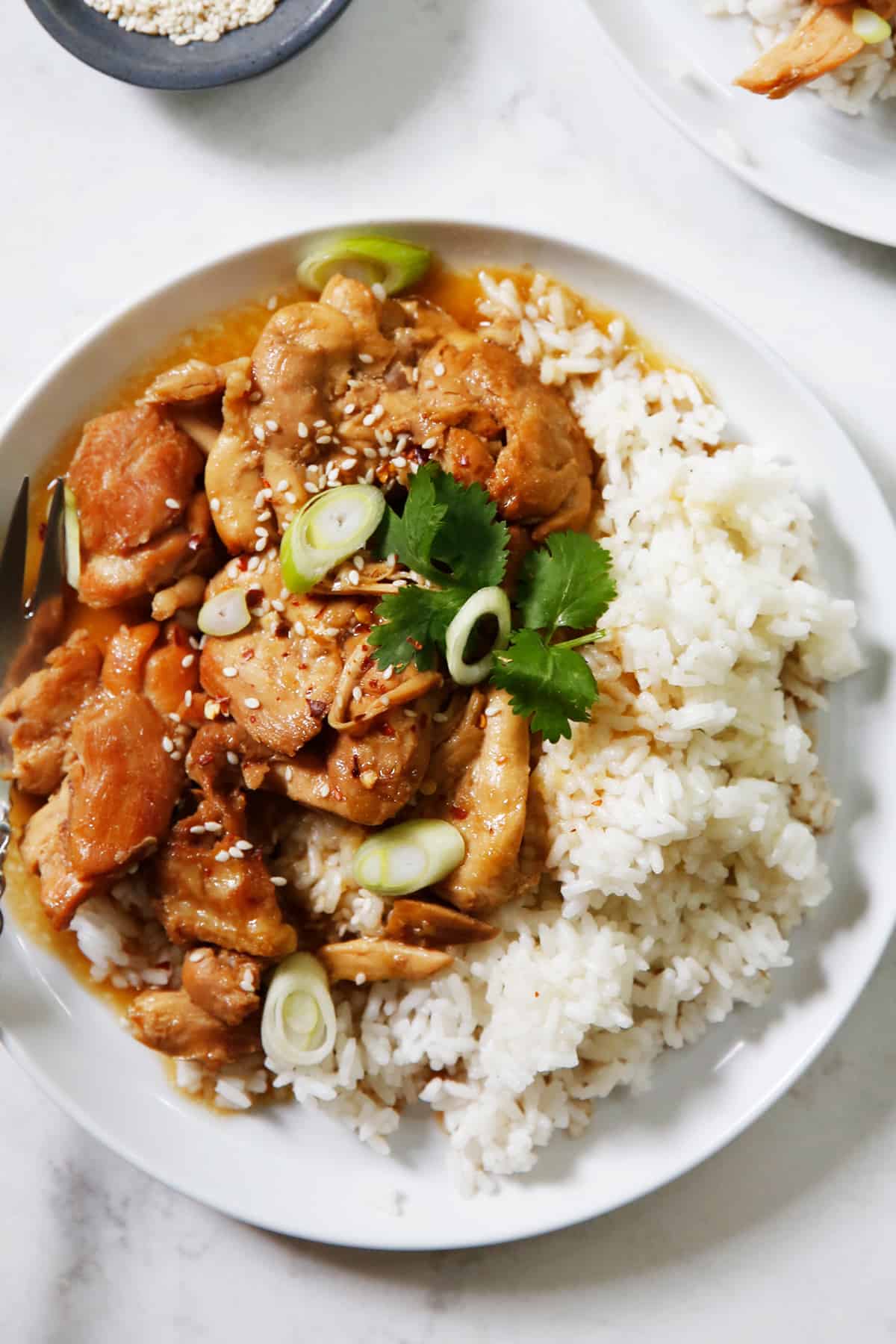 Chicken teriyaki recipe cooked in the instant pot