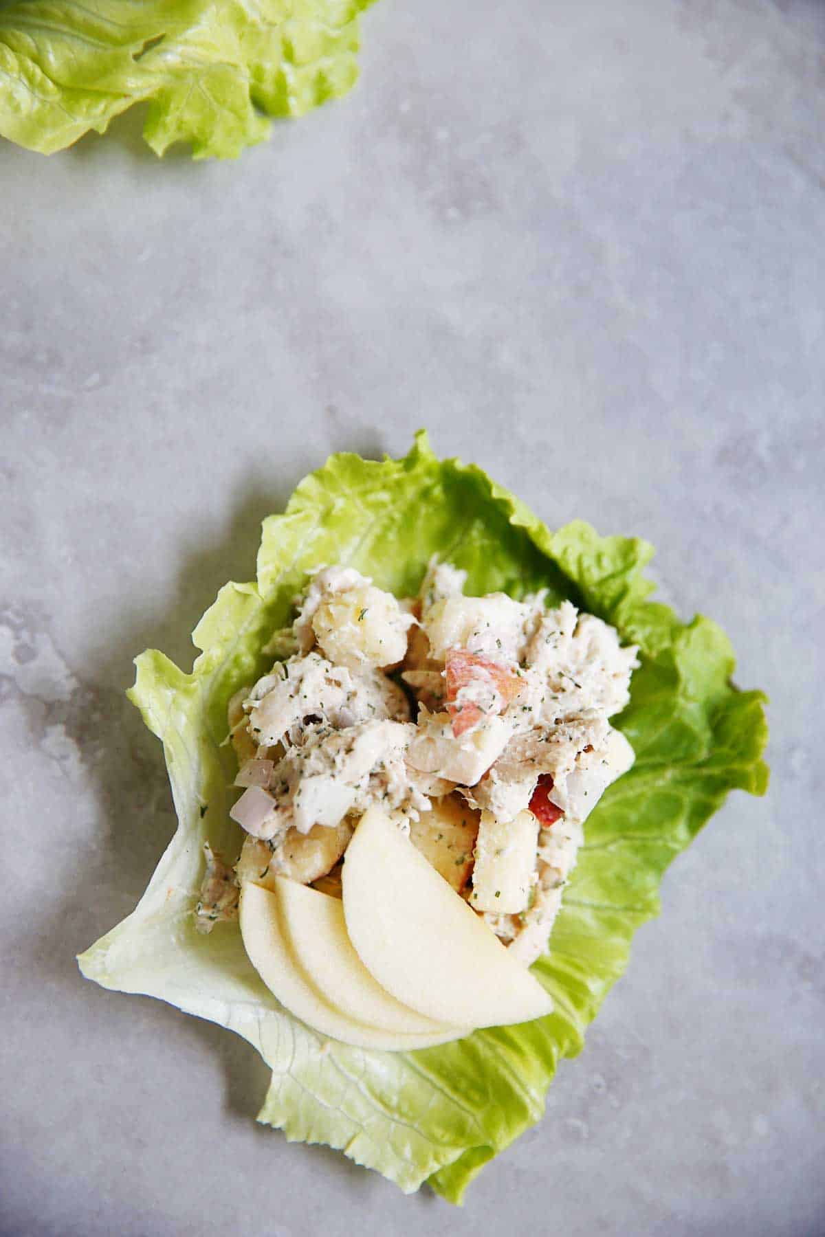 https://lexiscleankitchen.com/wp-content/uploads/2013/10/Apple-Dill-Chicken-Salad2.jpg