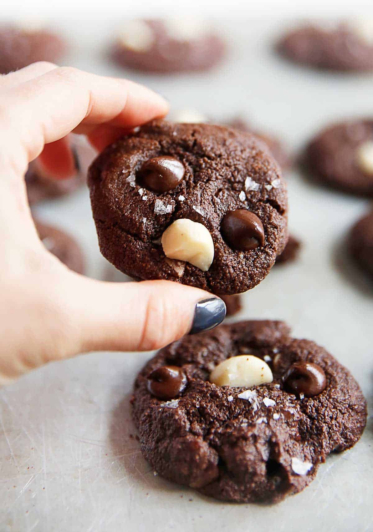 Chocolate Macadamia Nut Cookies - The Seaside Baker