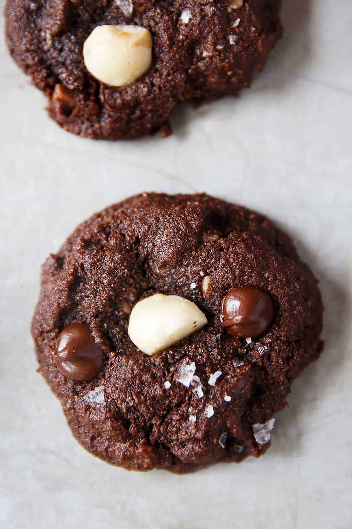 above image of a double chocolate cookie with macadamia nuts.