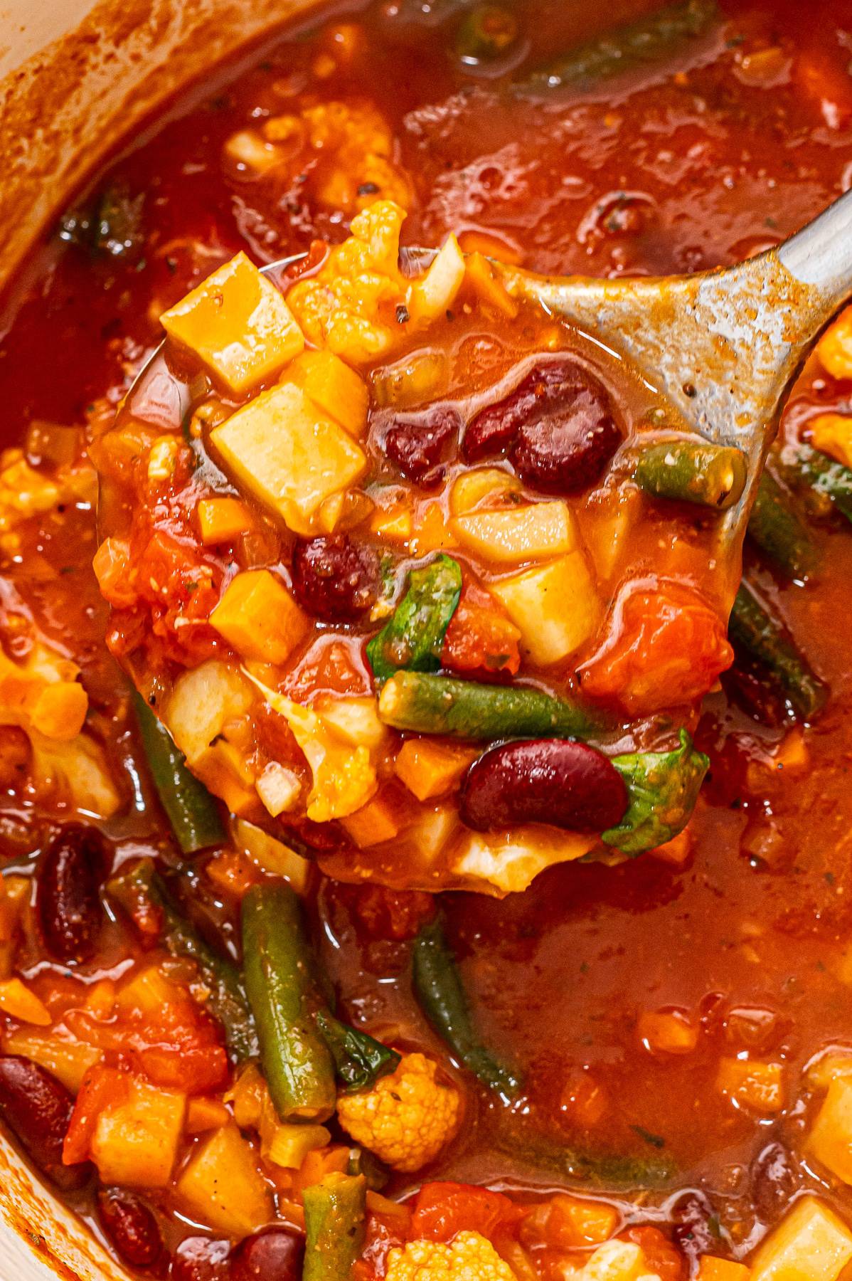 Rustic Tomato Soup with Veggies