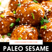 Sesame Asian Meatballs