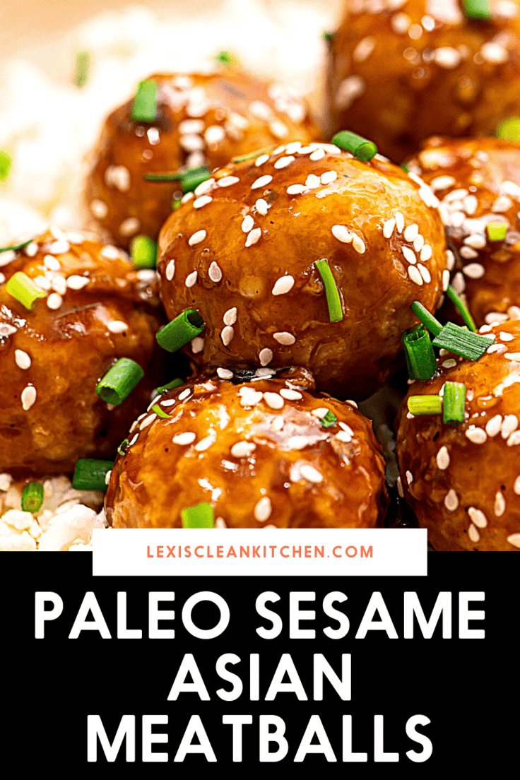 Sesame Asian Meatballs