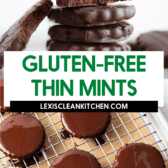 Gluten free thin mints