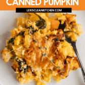 How to Use Leftover Caned Pumpkin Puree