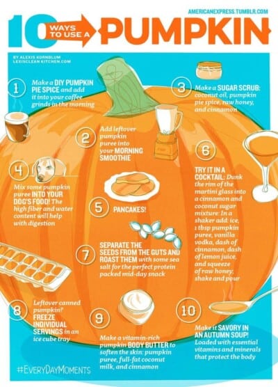 Ways to Use Leftover Pumpkin Puree