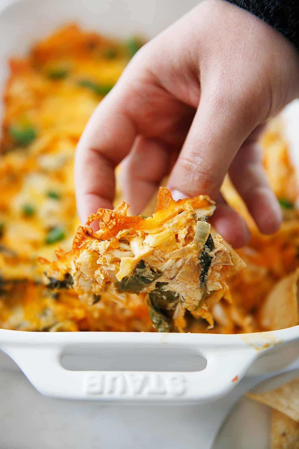 A chip dipping into a lightened up buffalo chicken dip.