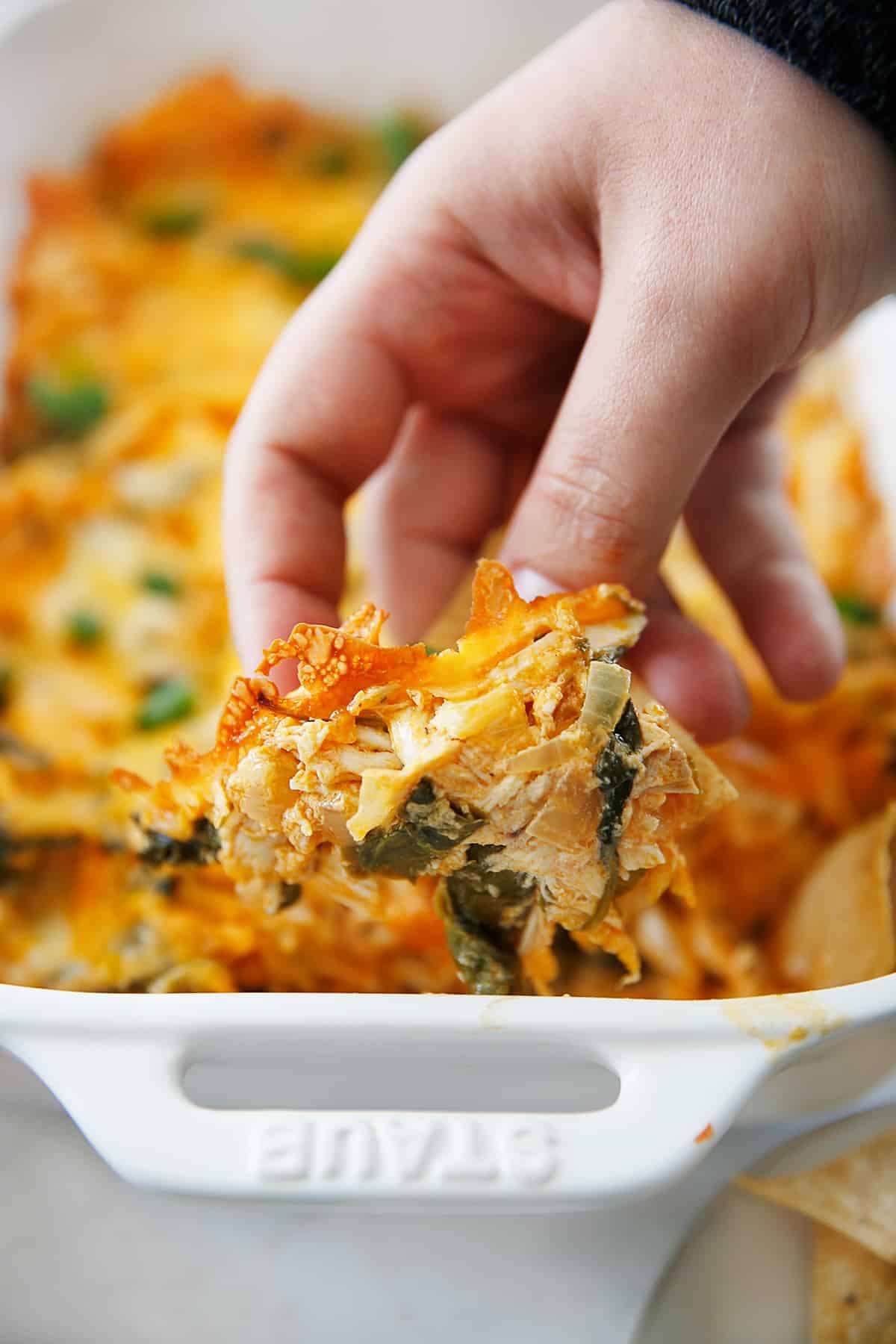 https://lexiscleankitchen.com/wp-content/uploads/2016/07/Buffalo-Chicken-Dip2.jpg