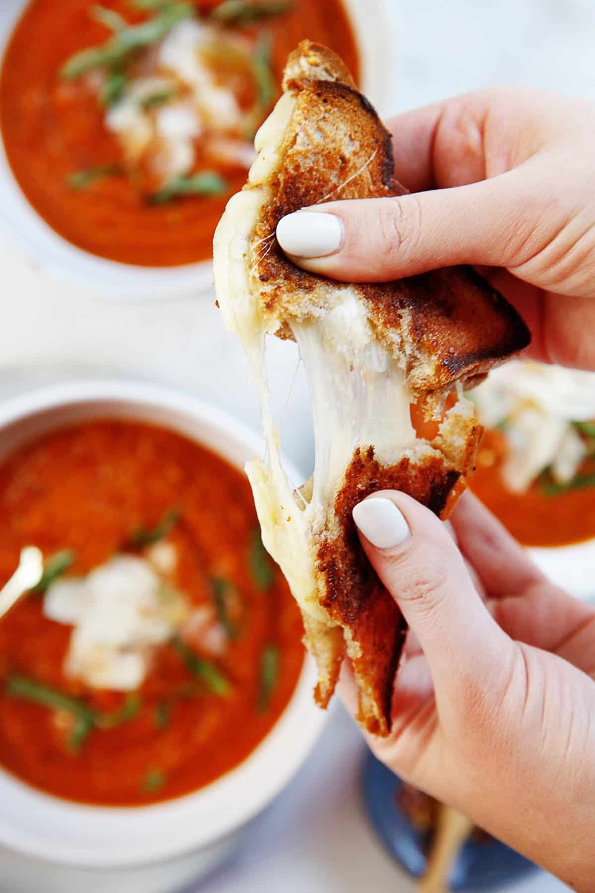 easy grilled cheese served with tomato basil soup recipe