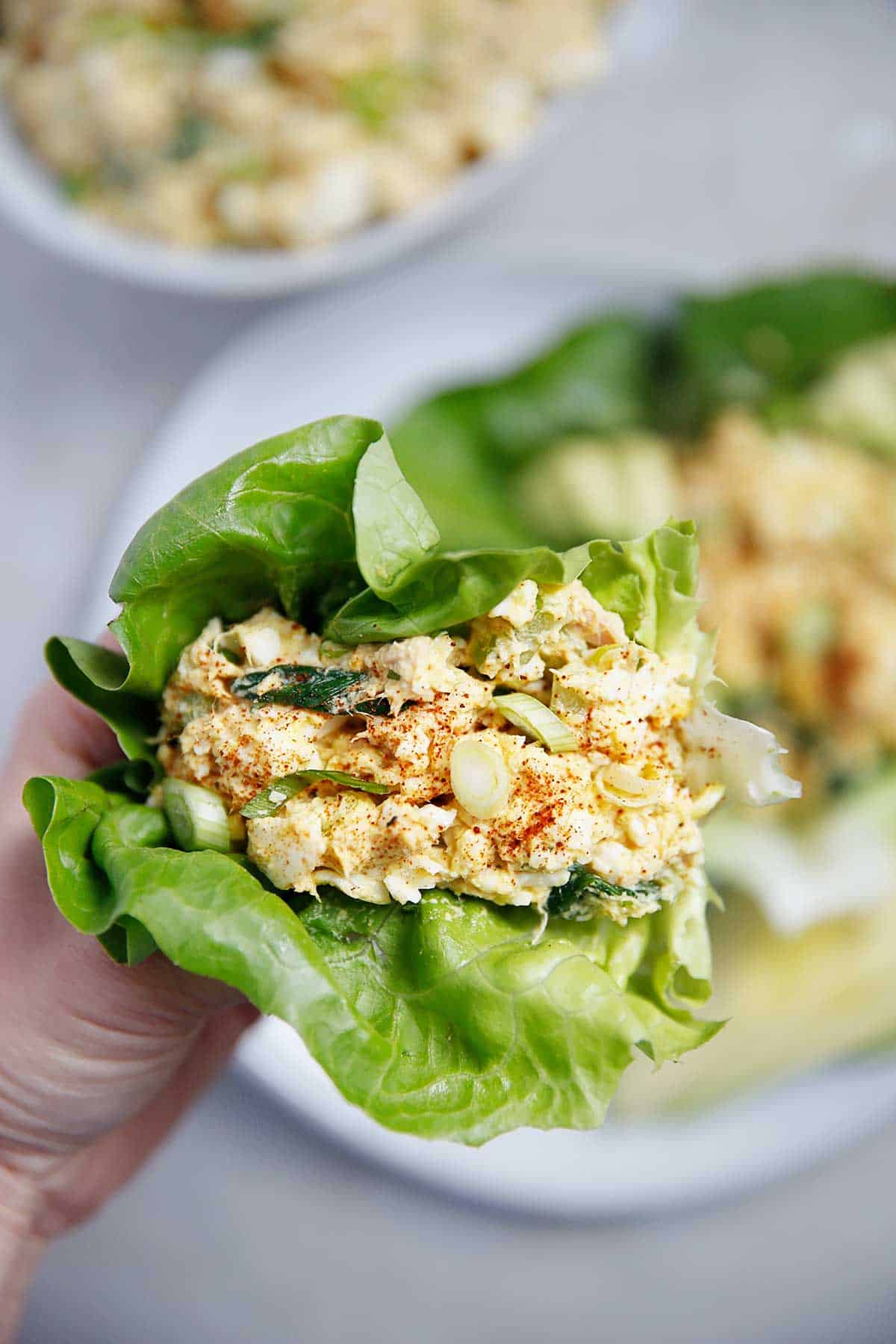 Egg-Vegetable Salad Wraps