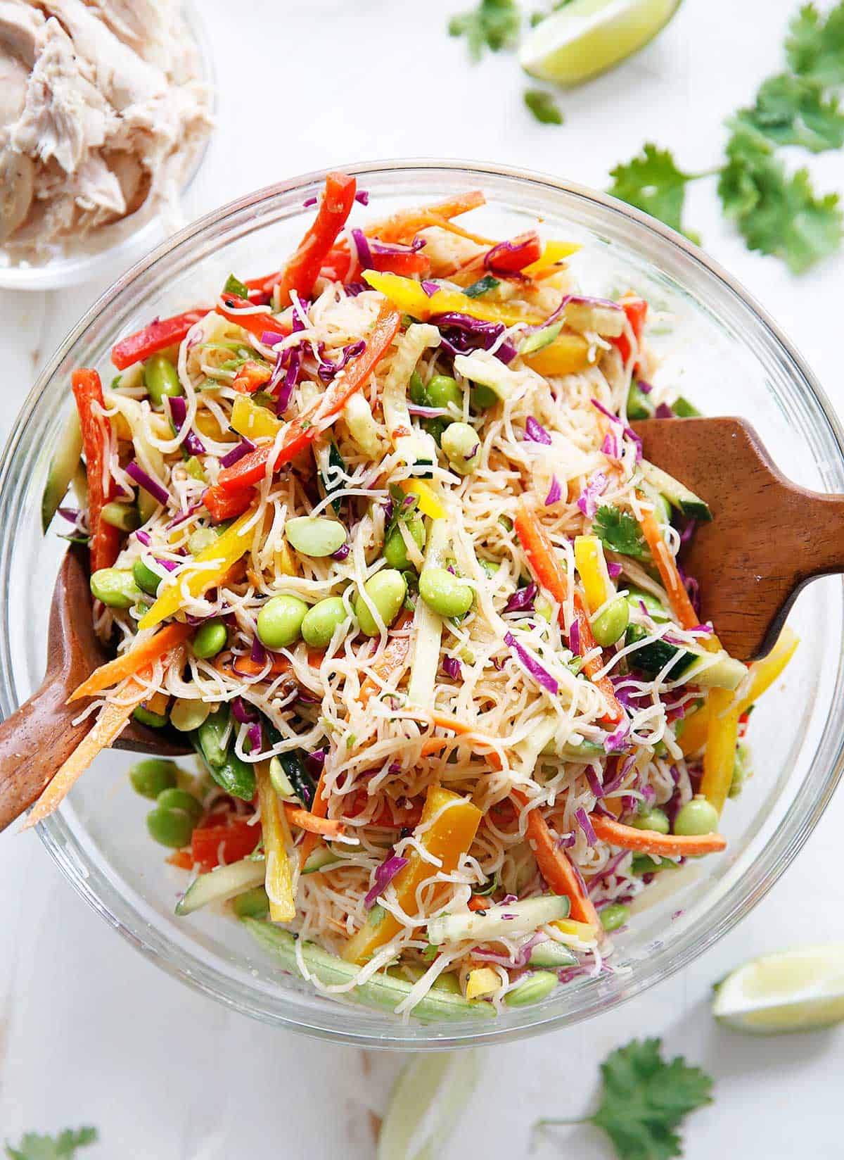 a serving bowl with cold asian noodle salad overhead.