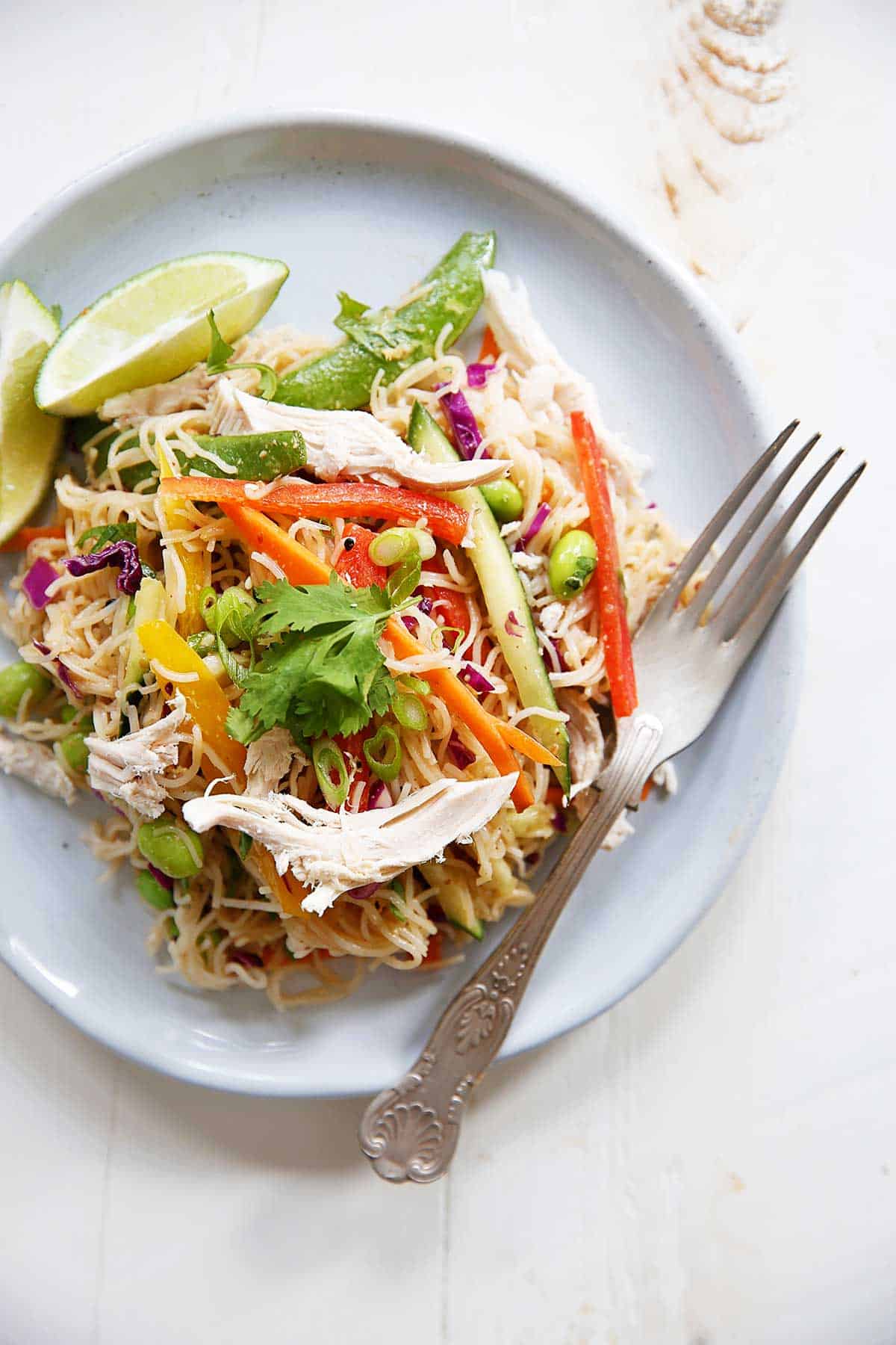 a plate with asian noodle salad overhead.