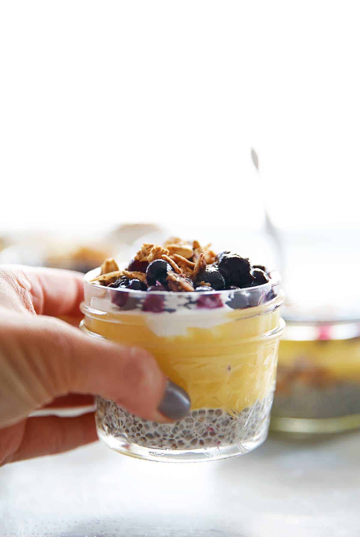 Lemon Curd and Blueberry Compote Breakfast Parfaits