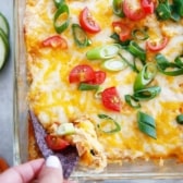 5-Ingredient Buffalo Chicken Baked Hummus Dip [VIDEO] - Lexi's Clean ...