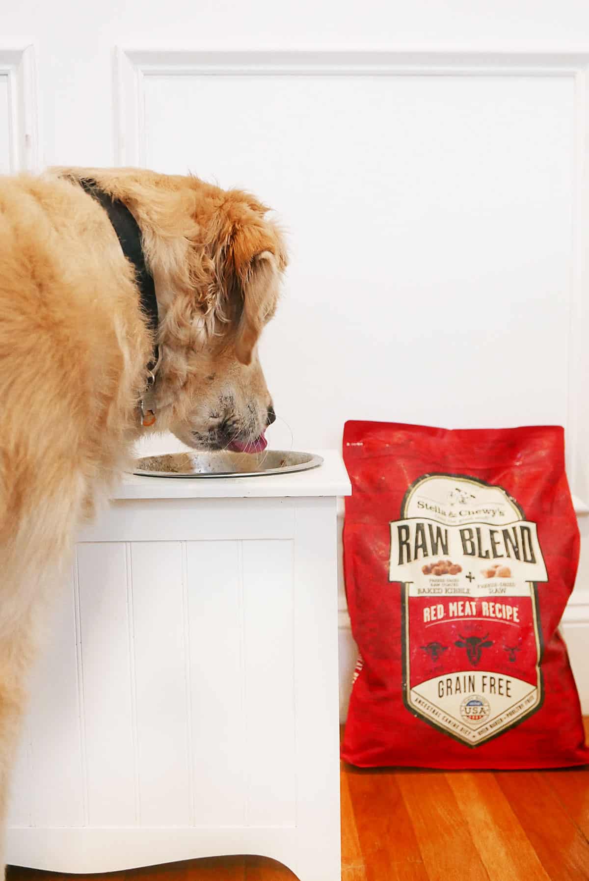 Jax for Stella & Chewy's: The Best Food For Your Dog