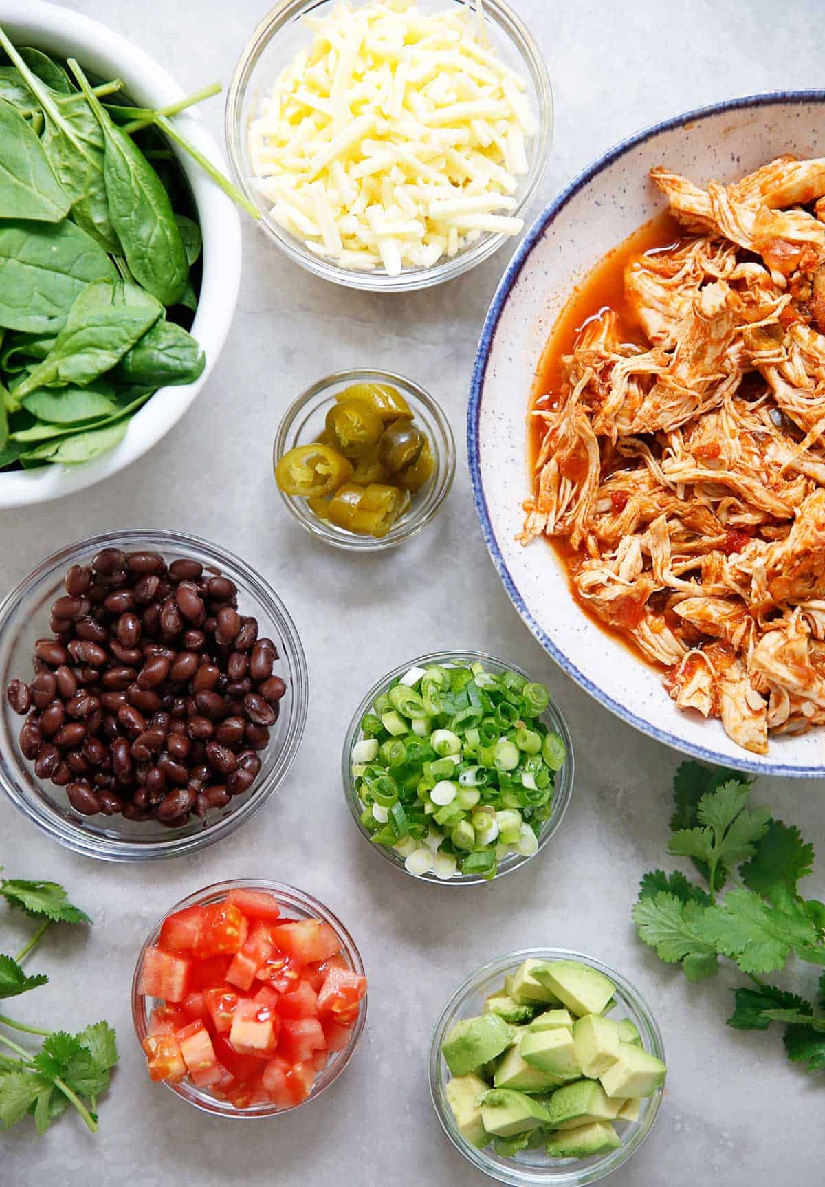 Instant Pot salsa chicken ingredients. 