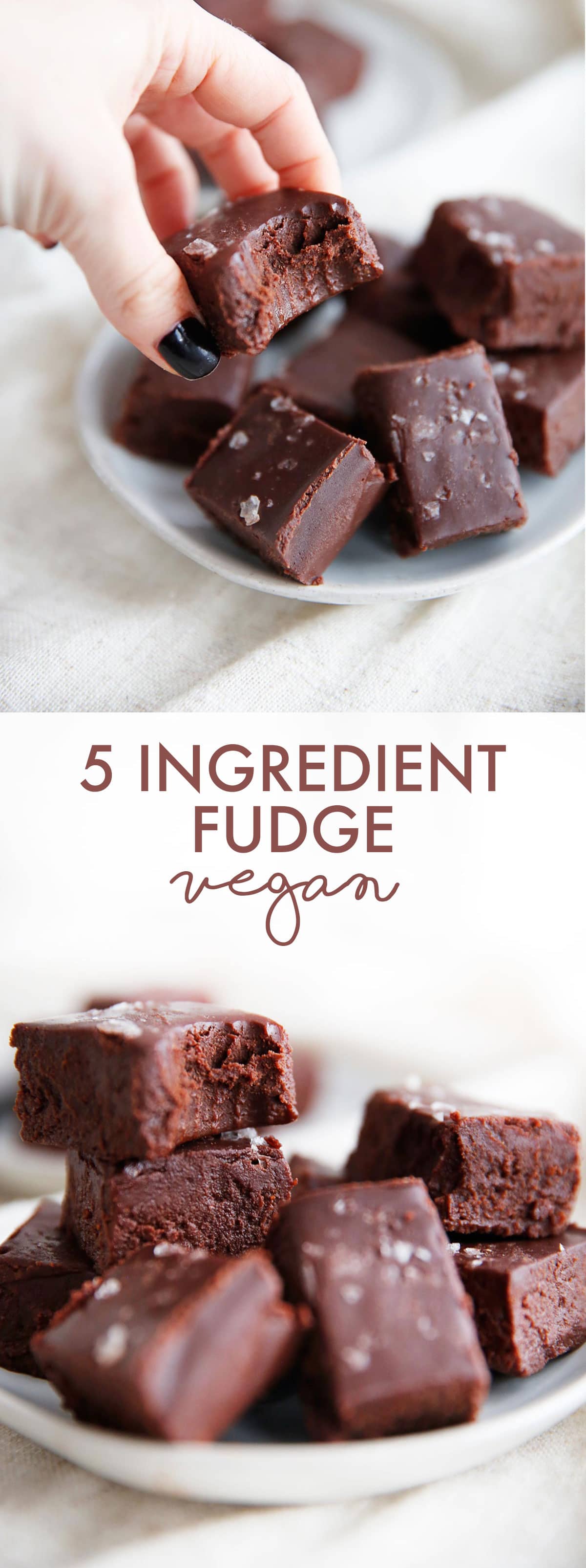 5 ingredient healthy fudge (vegan)