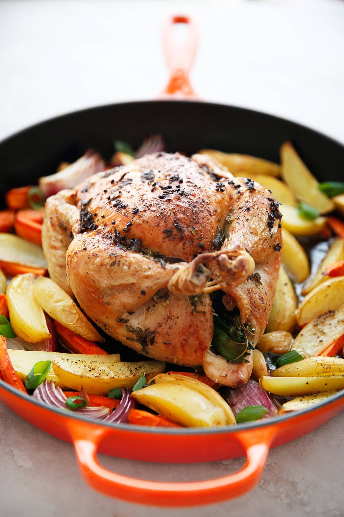 a roasting pan with a whole roast chicken surrounded by veggies from the side. 