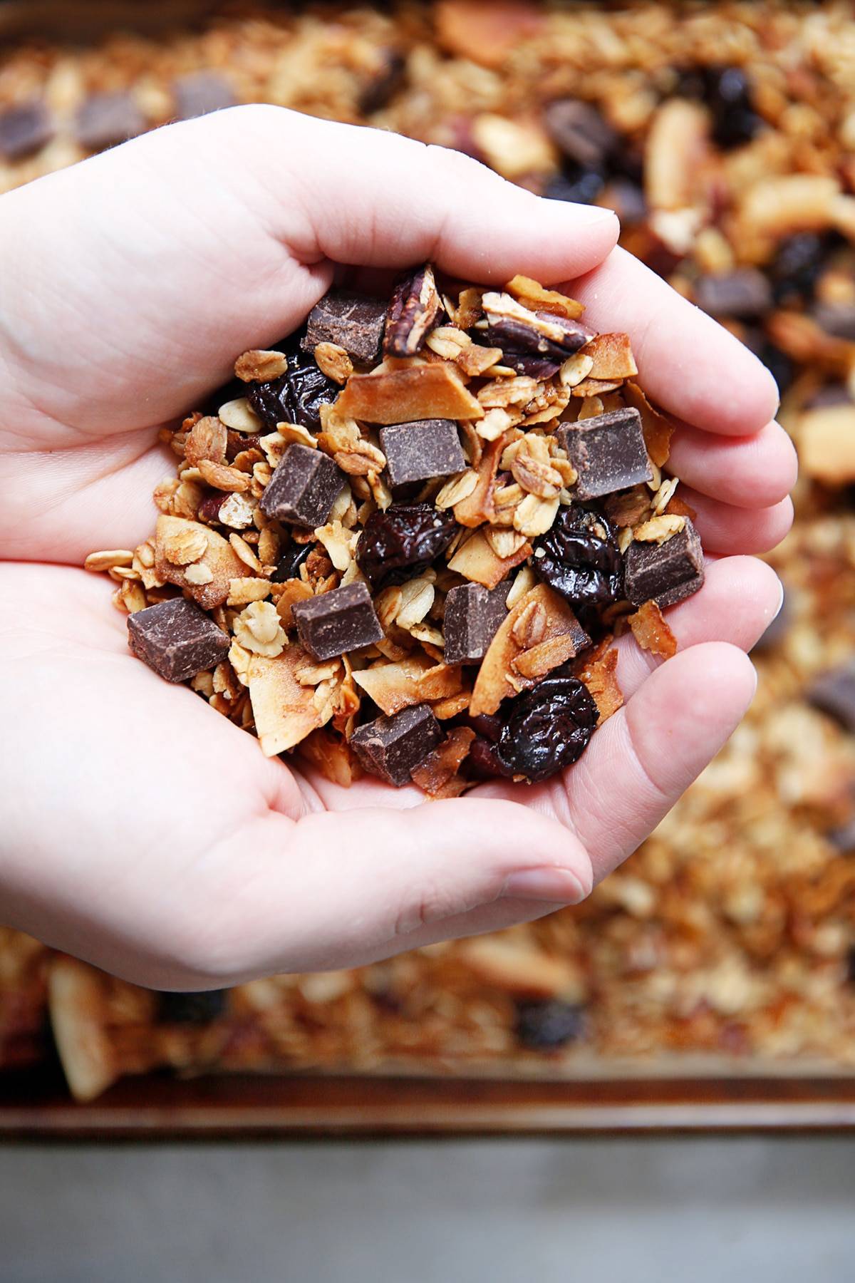 https://lexiscleankitchen.com/wp-content/uploads/2019/01/Chocolate-Coconut-Granola.jpg