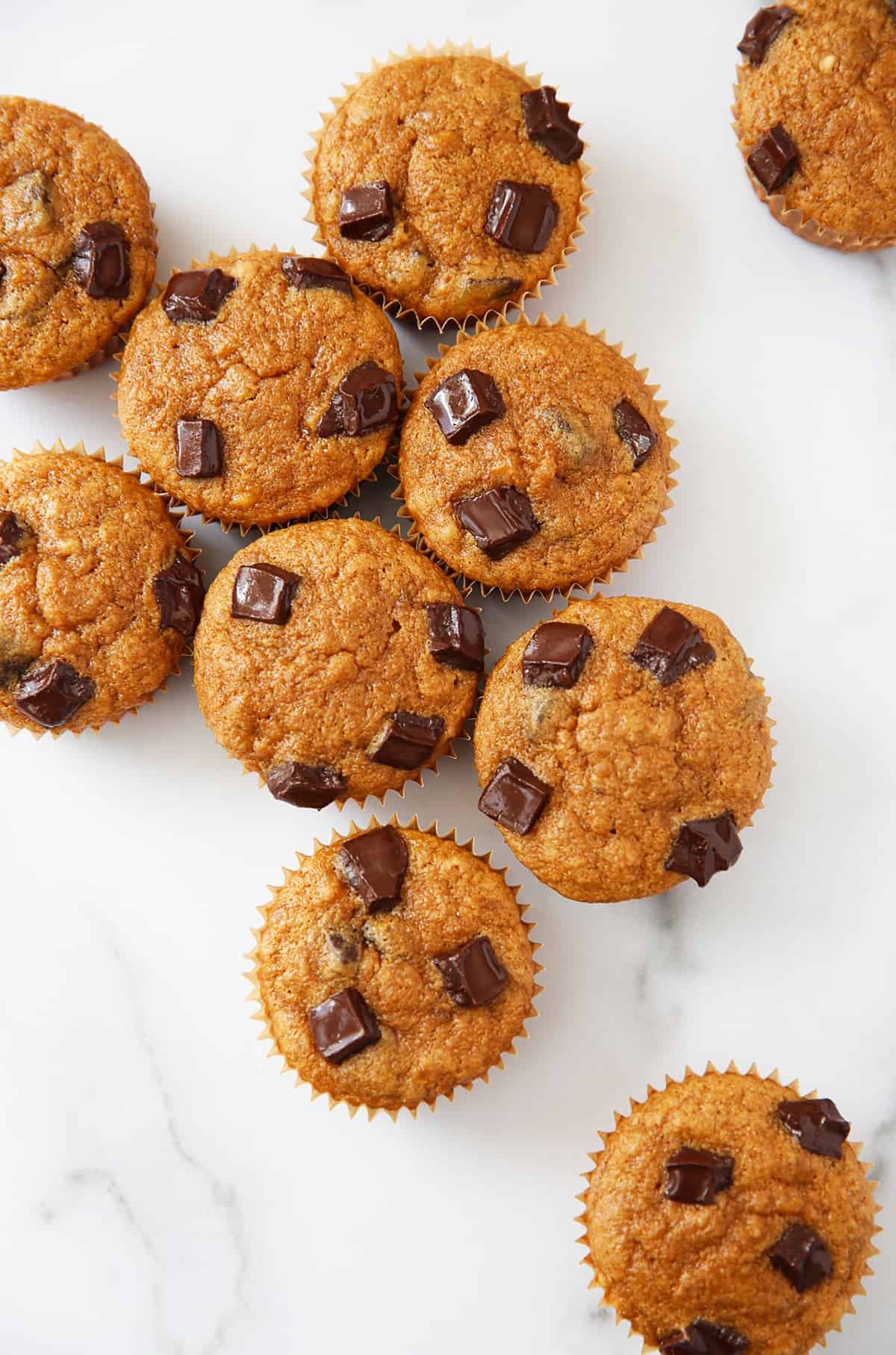 Best banana oatmeal chocolate chip muffins