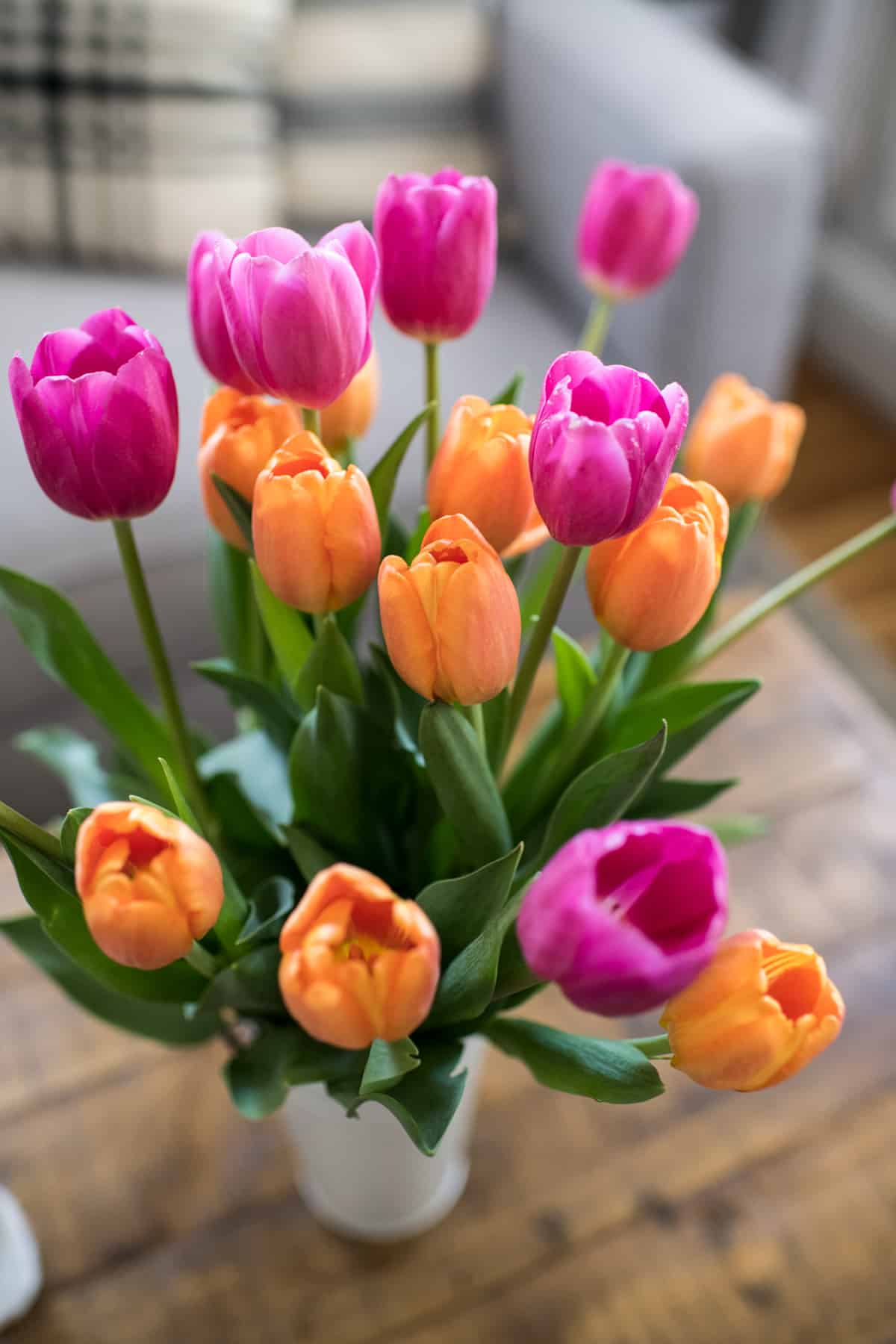 Trader Joe's Tulips – We'll Get The Food