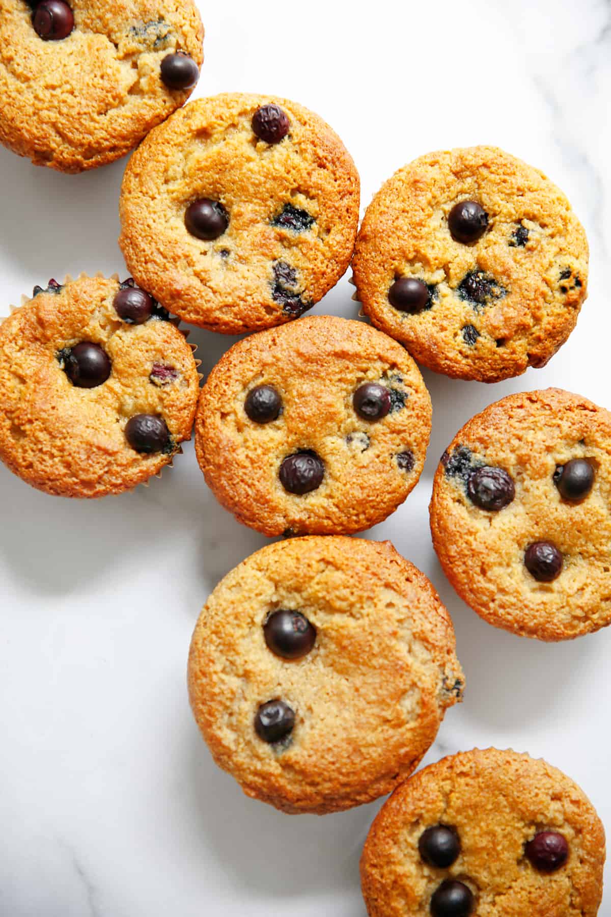 a bunch of Paleo blueberry muffins