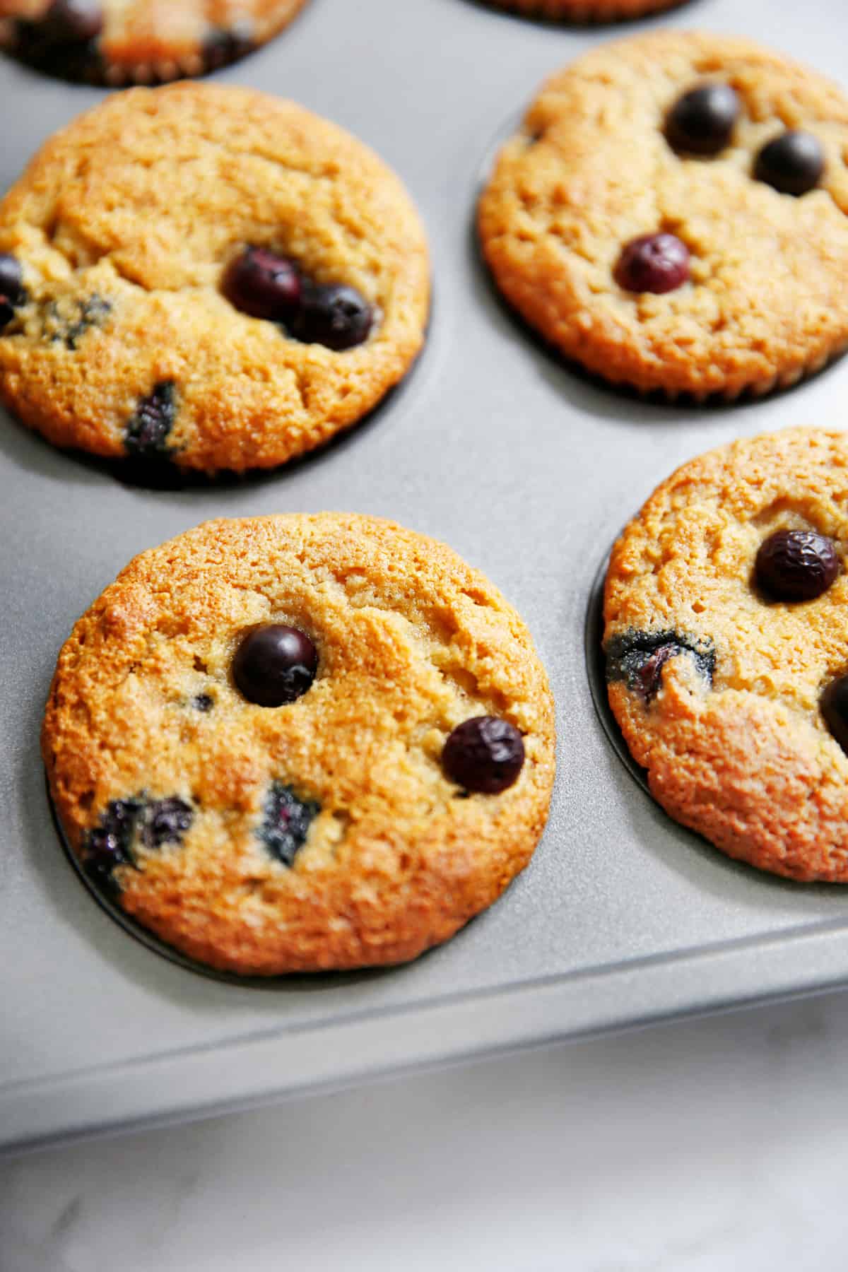 Paleo blueberry muffins in the muffin tin