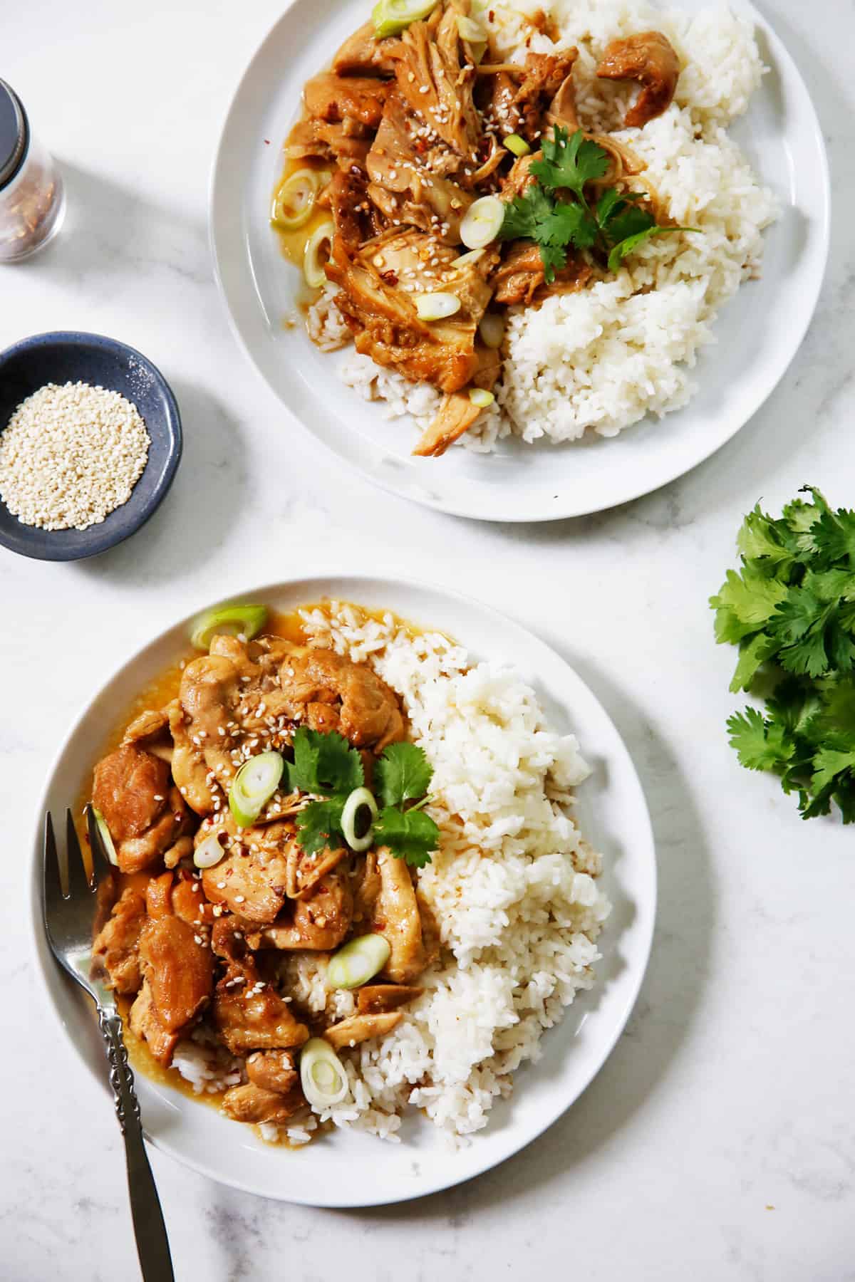 INSTANT POT CHICKEN TERIYAKI