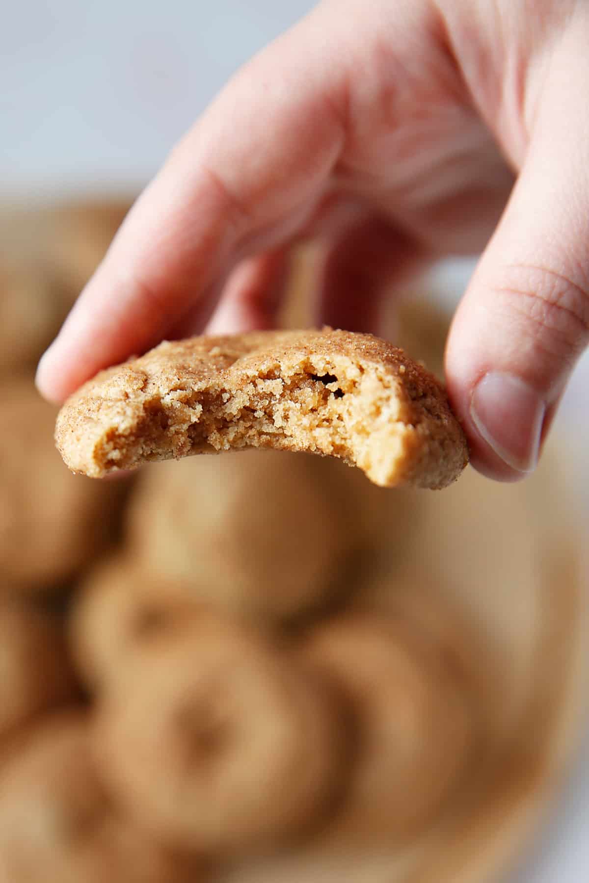 A bite of gluten free snickerdoodle cookies
