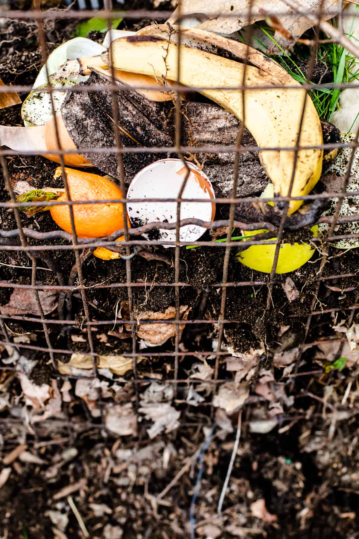 A working compost.