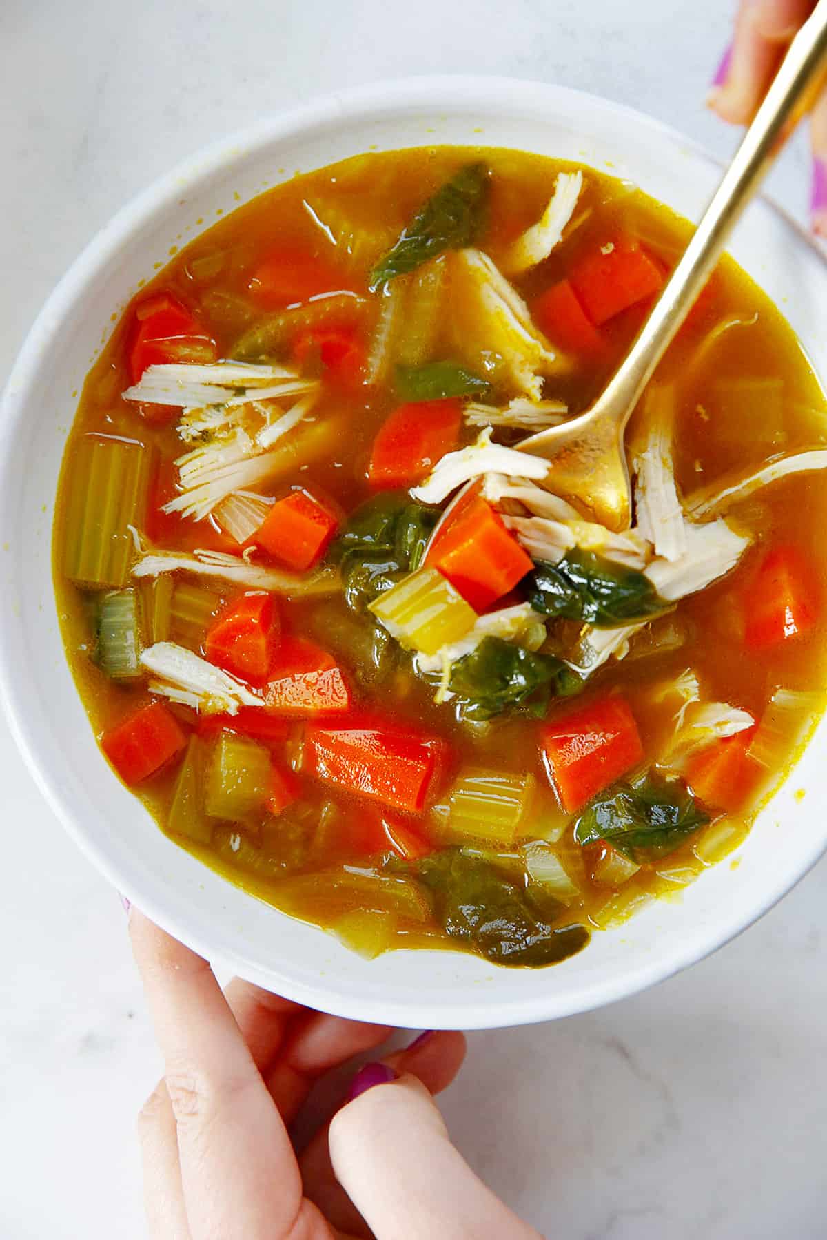 healthy vegetable soup