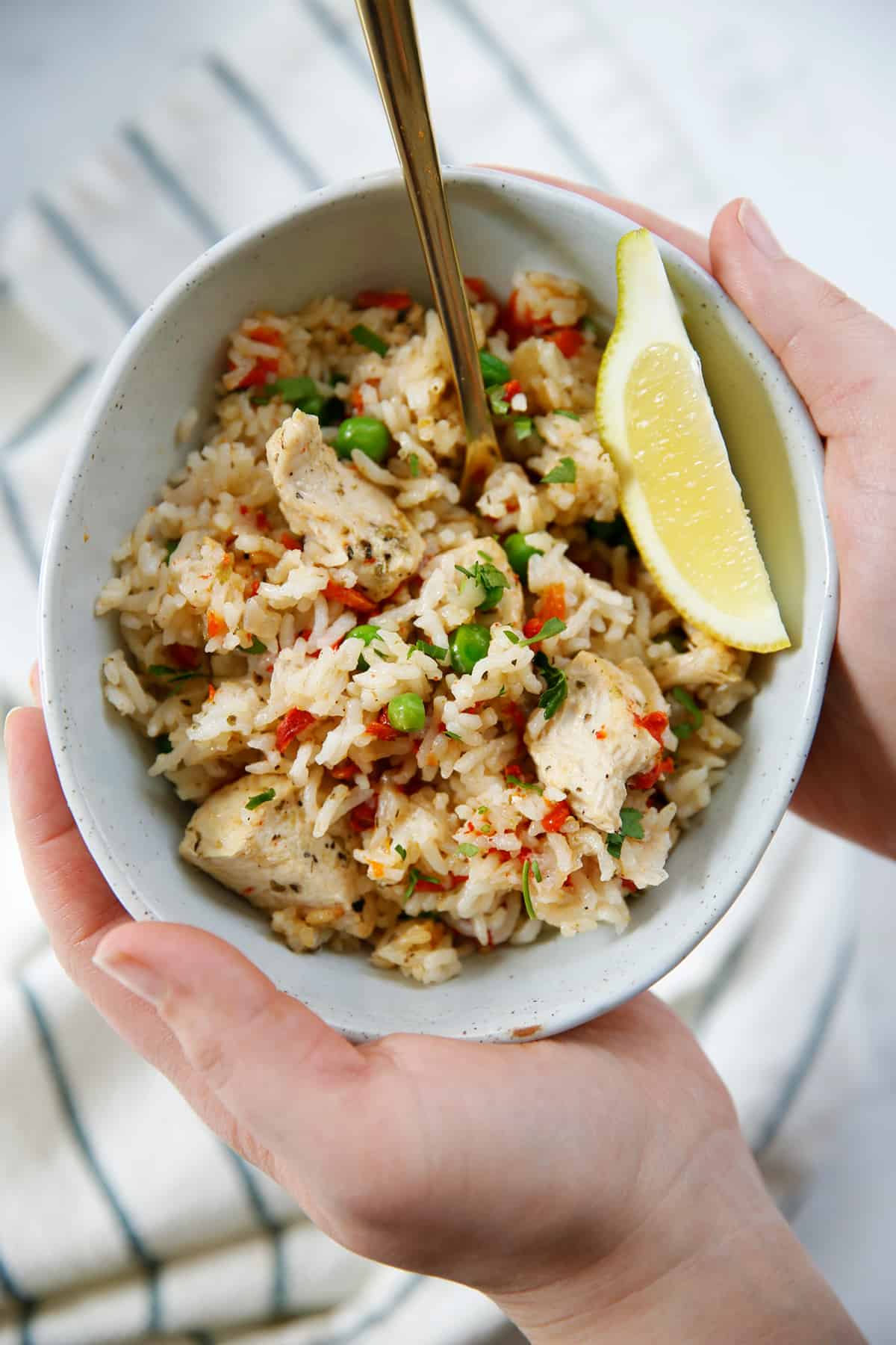 A bowl of Italian chicken and rice.