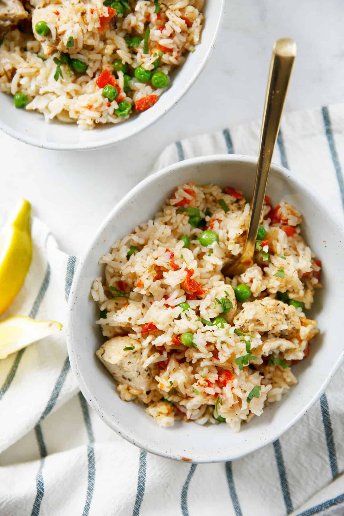 A bowl of Italian chicken and rice.