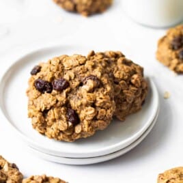 Gluten Free Lactation Cookies