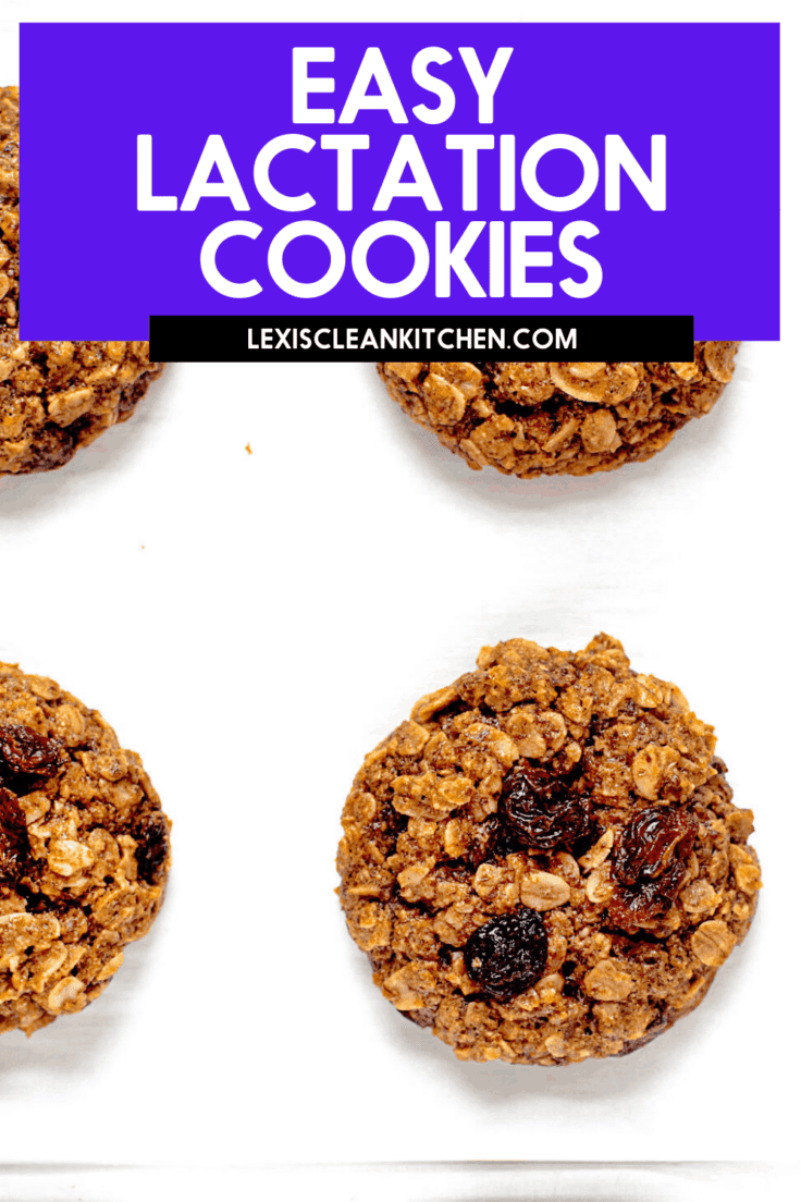 Gluten Free Lactation Cookies image for Pinterest.