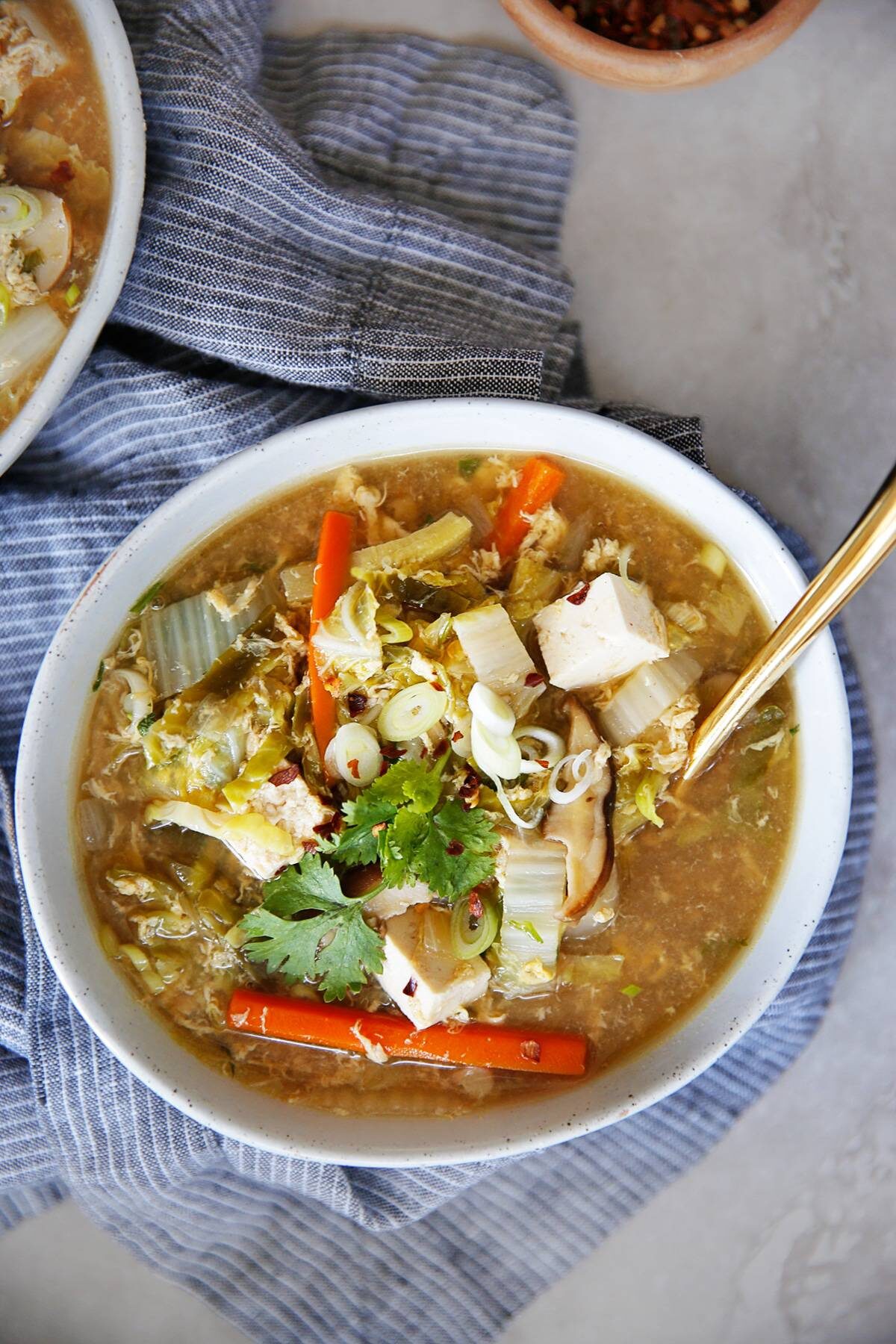 Amazing Hot and Sour Soup