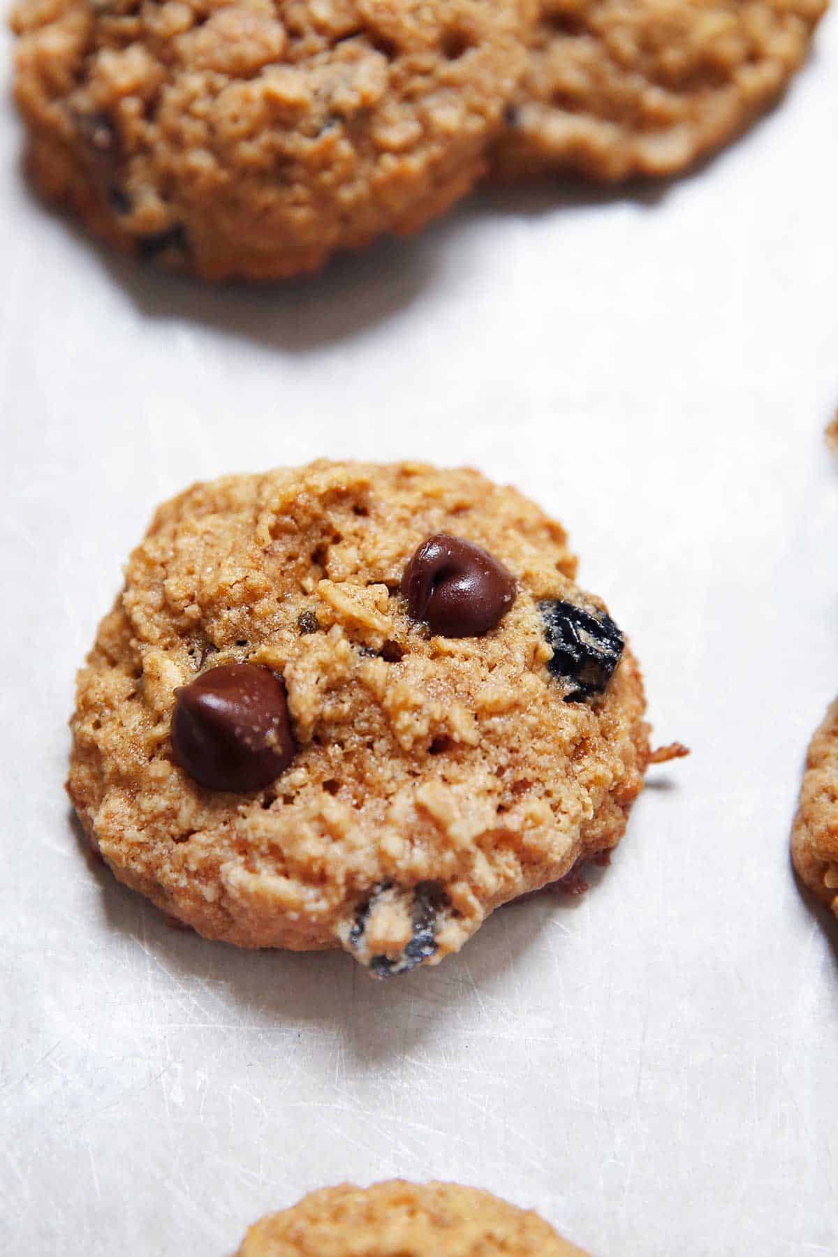 Close up on Oatmeal Raisin Cookie with chocolate chips