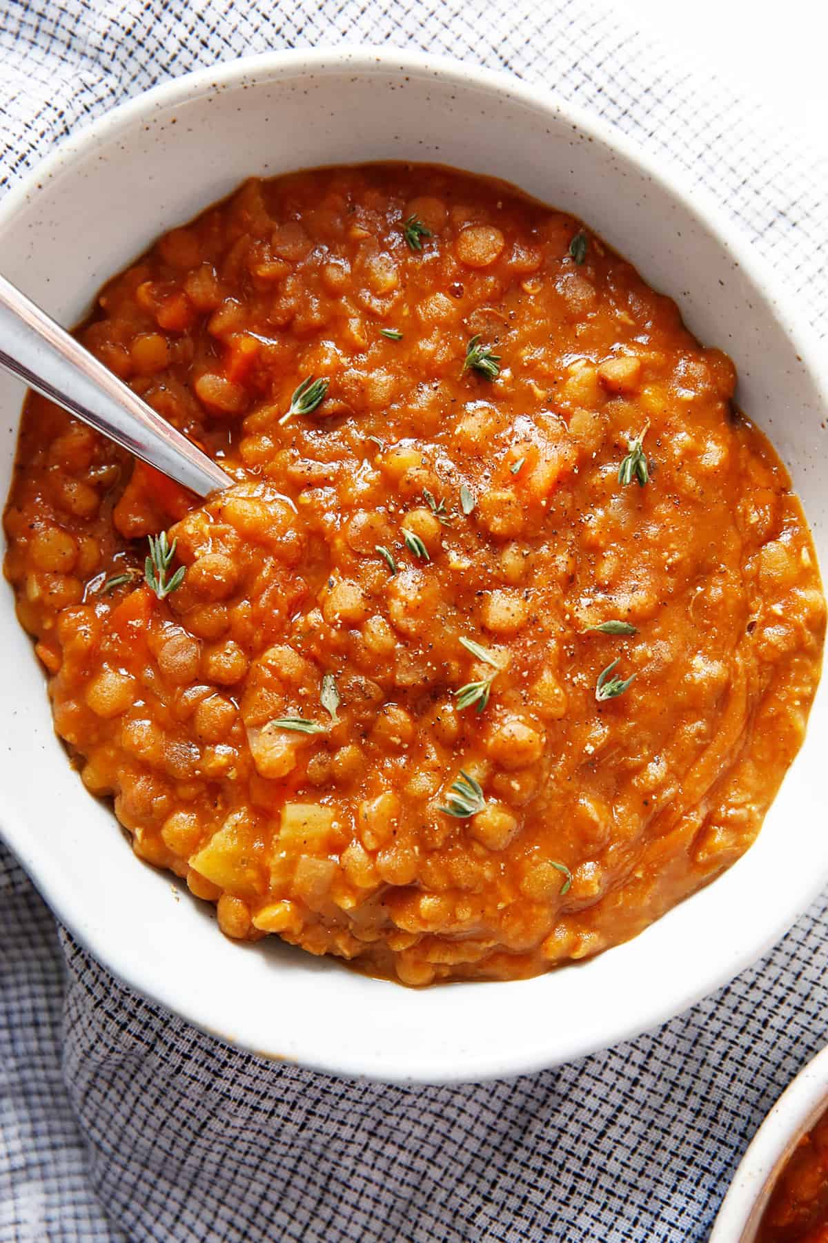 INSTANT POT LENTIL SOUP