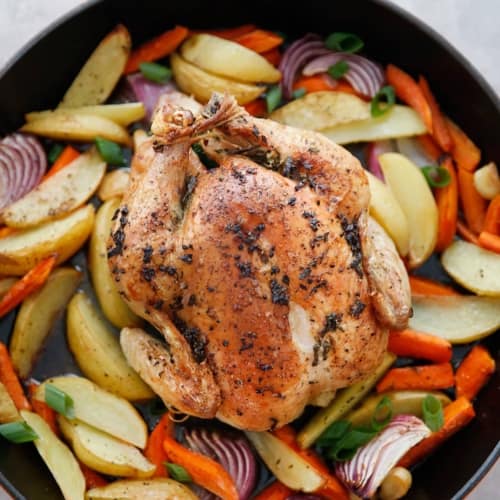 https://lexiscleankitchen.com/wp-content/uploads/2020/07/Roasted-Chicken-Veggies2-500x500.jpg