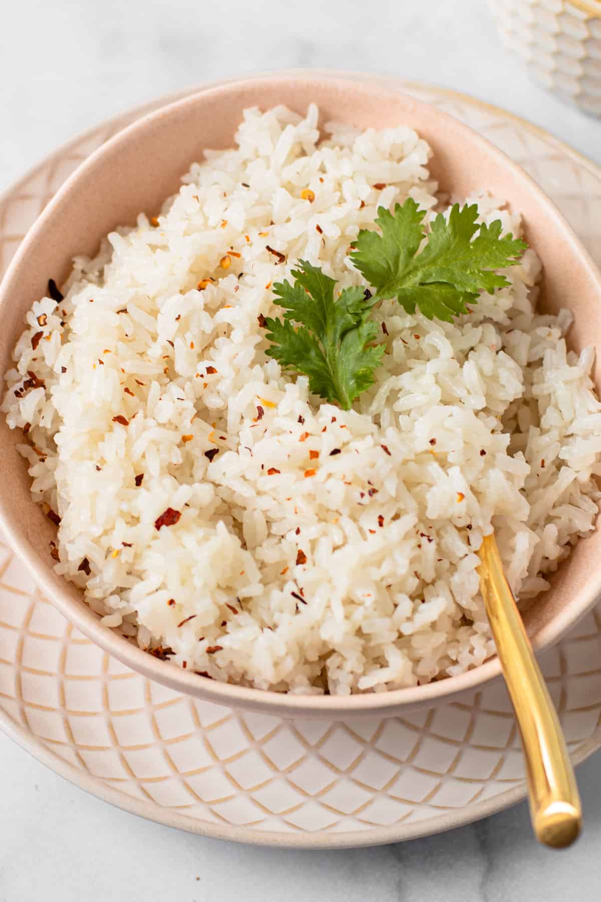 Coconut rice in a bowl with a piece of cilantro.