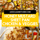 Sheet Pan Honey Mustard Chicken and Veggies