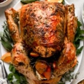 above image of a whole roast turkey on a platter.