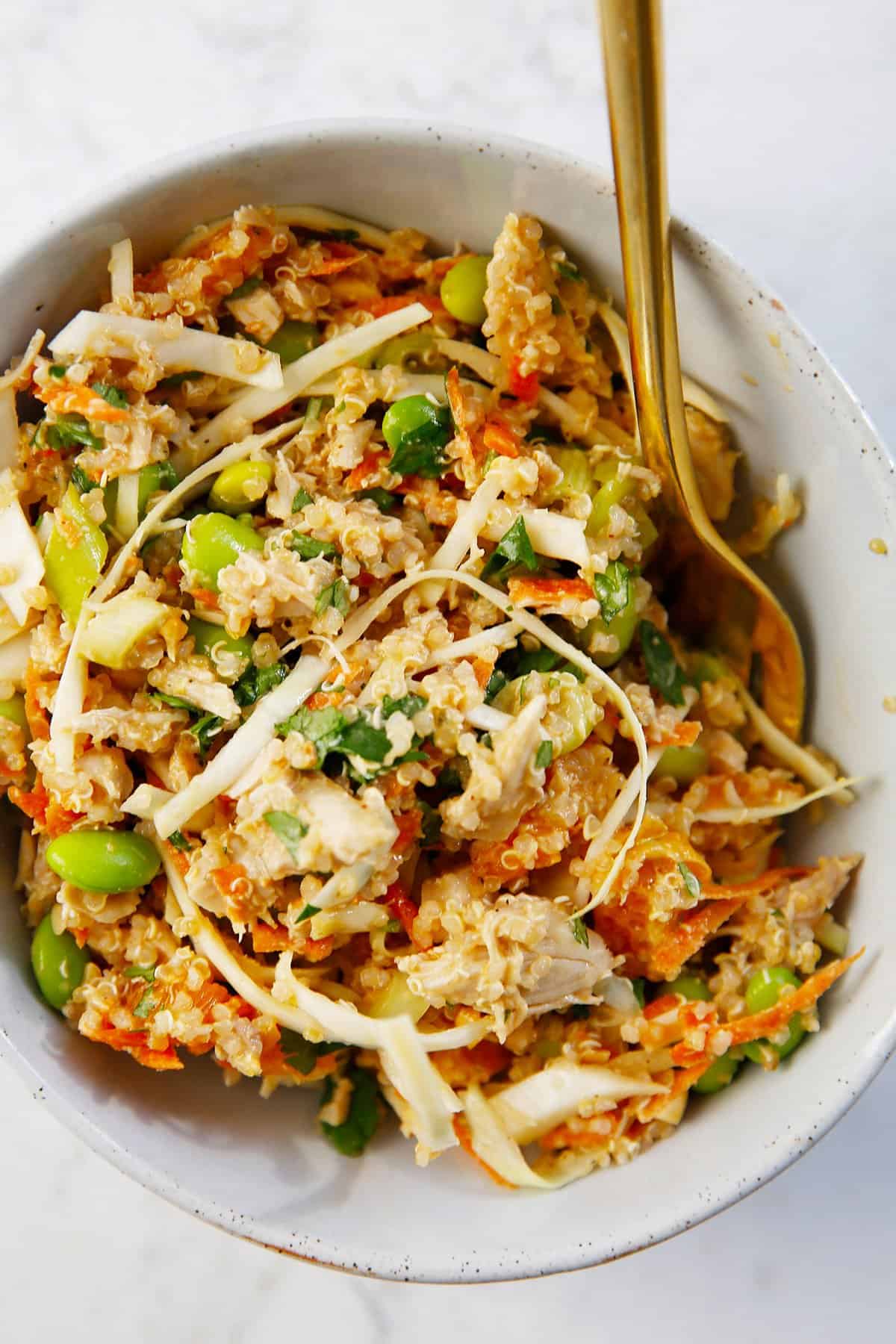 a bowl of thai chicken salad with quinoa