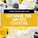Gin Fizz Cocktail