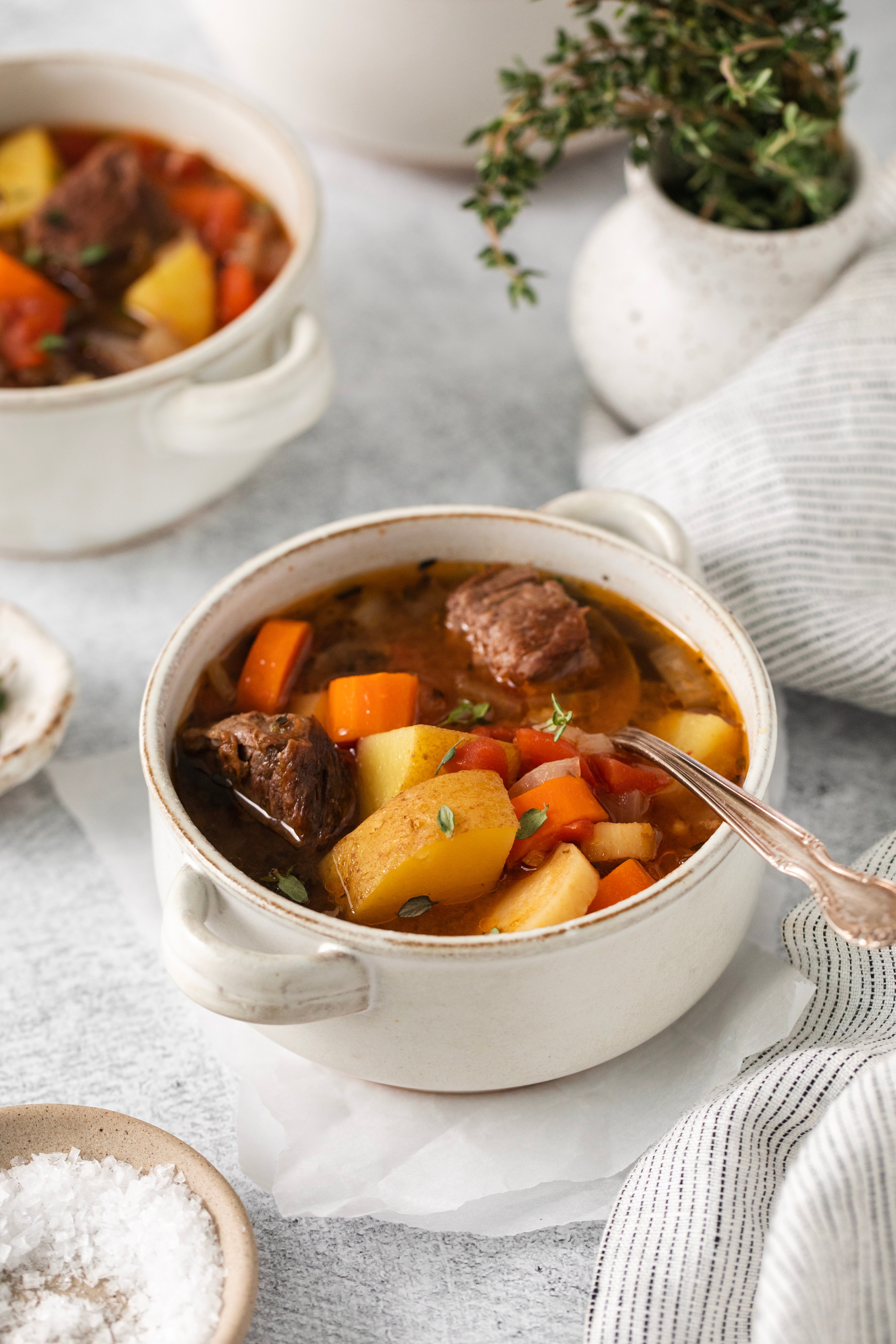 side view of a bowl of short rib stew next to another bowl and a dish of salt.