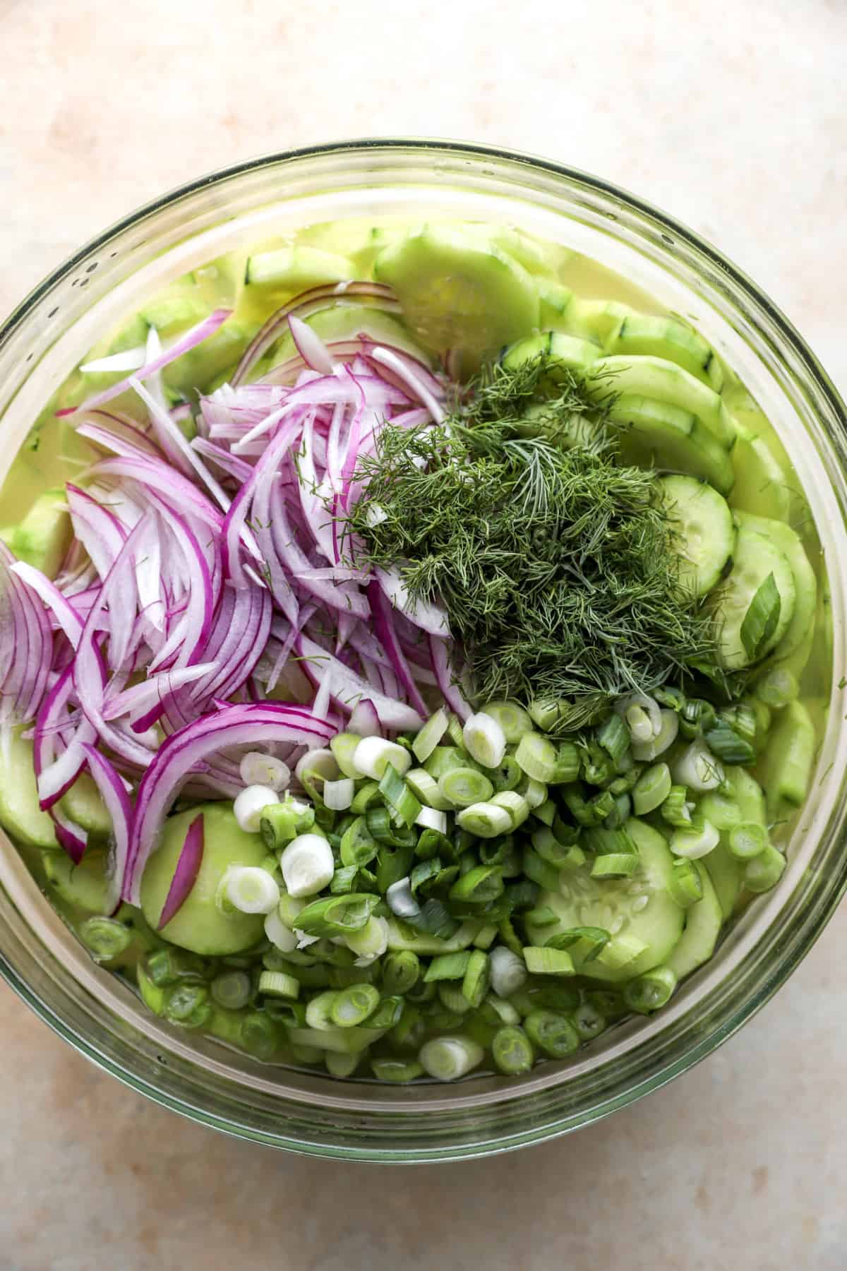A bowl of cucumbers, onions, scallions, and dill. 