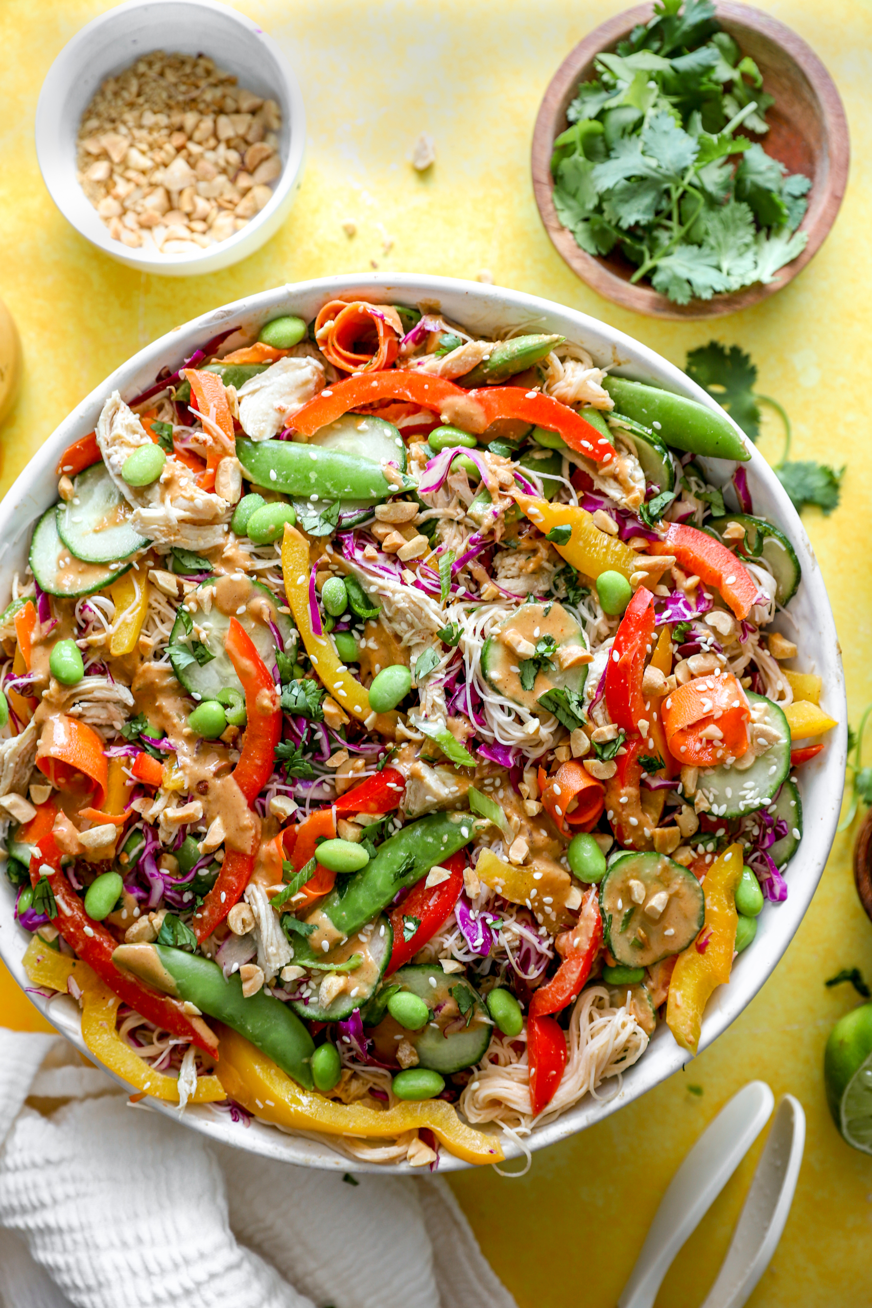 Cold Asian Noodle Salad