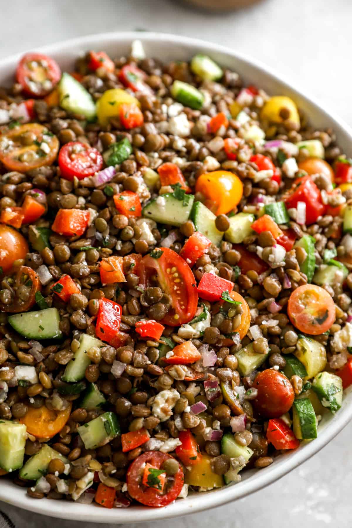 Close up image of a bowl of Greek lentil salad. 