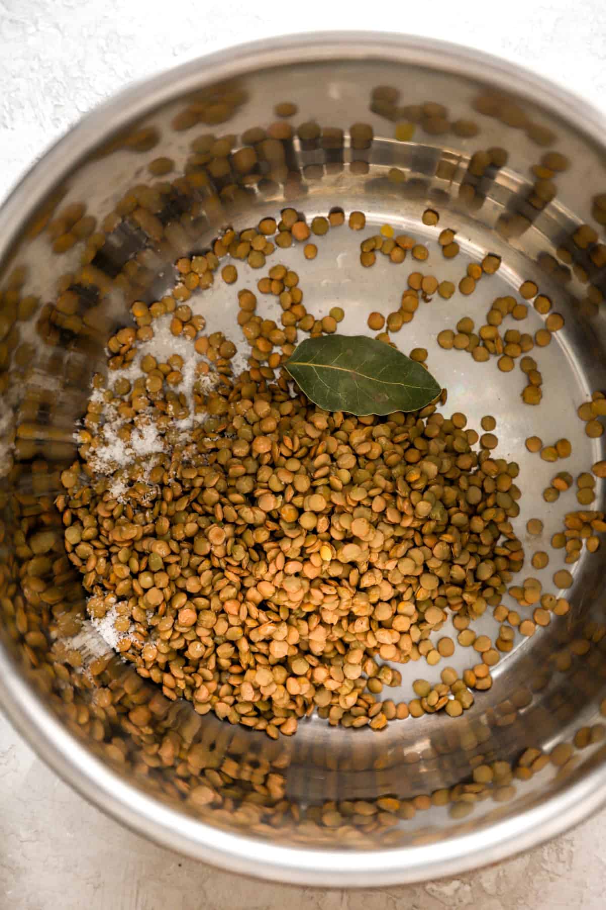 Dry lentils and a basil leaf in an Instant Pot. 