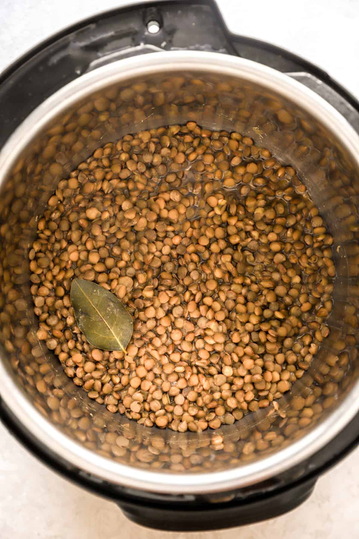 Overhead image of lentils in an Instant Pot. 